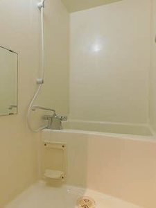 コルキス　ノード A0202号-8