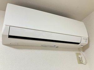 レイクサイド玉湯 A棟 A0202号-13