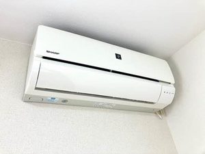 バリュージュ佐野 D棟 D0202号-10