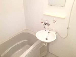 エルディムⅡ A0101号-6