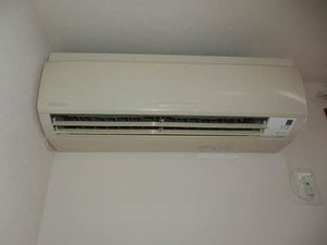 アネックス B棟 B0105号-3