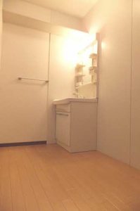 メゾン・オリーブ A0203号-13