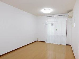 ＡＬＥＸ A0203号-10