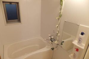 Ｒｏｓｅ　Ｇａｒｄｅｎ　Ａ棟 A0101号-9