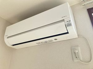 エスペラント A0101号-12