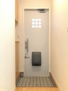 アレグリア A0101号-12