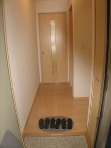 クリスタル・クロスバレー A0206号-3