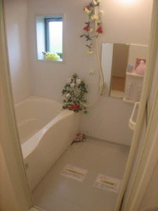 クリスタル・クロスバレー A0206号-6