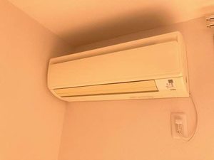 タートルテイル A0101号-14