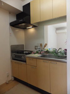 タートルテイル A0201号-6