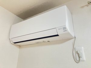 タートルテイル A0201号-11