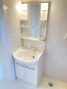 サンディアス A0110号-6