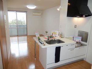 サンディアス A0210号-10