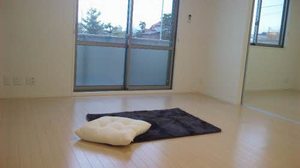 ブランドール　ＯＨＮＯ A0101号-11