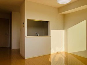 アローバレー A0202号-10