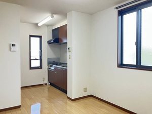 メゾン・ド・プラス A0105号-3