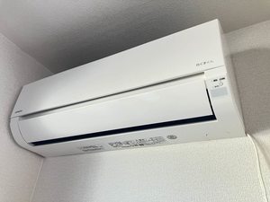 メゾン・ド・プラス A0205号-13