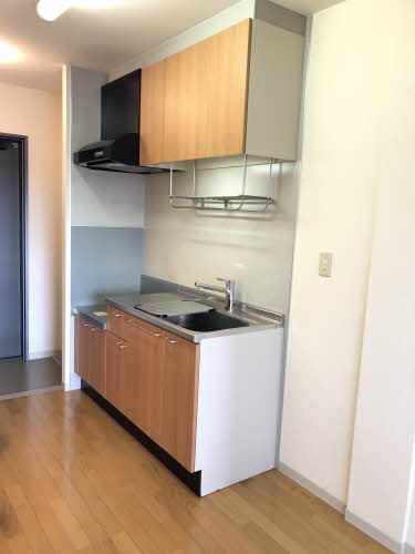 レアンドロス A0207号-10