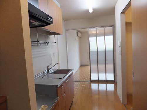 レアンドロス A0303号-3