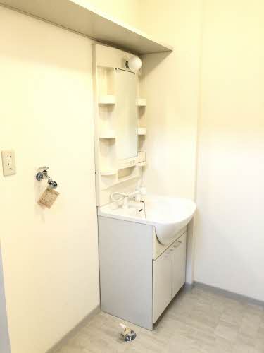 レアンドロス A0310号-11