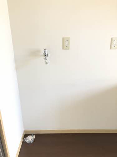 スカイメゾン 5番館 A0102号-8