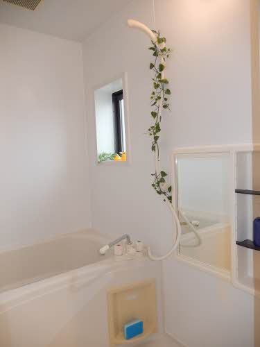 メゾン　アイ　ファミーユ　Ａ棟 A0201号-6