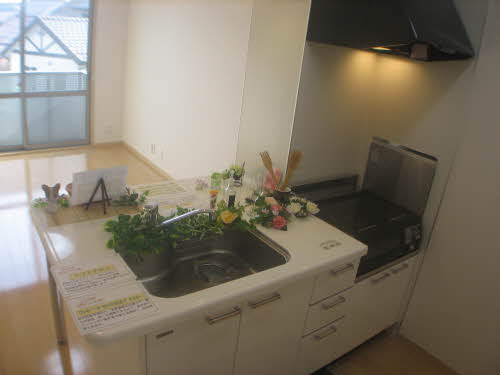 クリスタル・クロスバレー A0206号-4