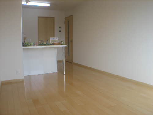 クリスタル・クロスバレー A0206号-5