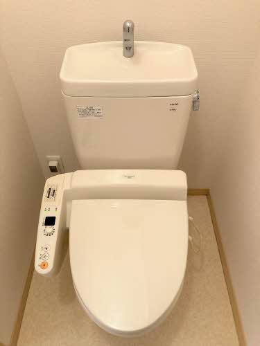 タートルテイル A0101号-7