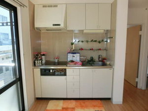 光ハウス　Ｂ棟 B0203号-2