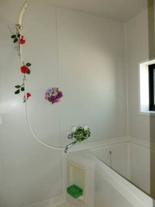 光ハウス　Ｂ棟 B0203号-5