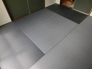 セジュン C棟 C0102号-12