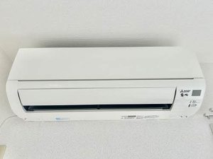 アンセスグランヒルズ A棟 A0202号-10