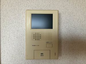 A TES SOUHAITS(アテスウェイ) A0302号-7