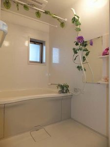 カーサ・ア・コルテ　Ⅰ棟 A0202号-3