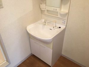 バリュージュ Ⅲ B0101号-7