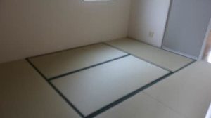 ディアス川南　Ｃ棟 C0121号-5