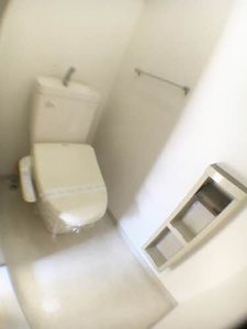 シャーメゾン八万 5番館 D0210号-11