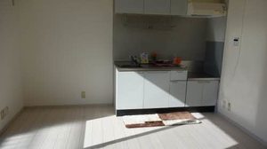 ヴィラージュマルイ　Ｂ棟 B0205号-3