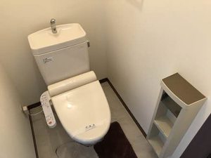 Ｇｒａｃｅｆｕｌ　ＫＡＷＡＵＣＨＩ A0101号-8