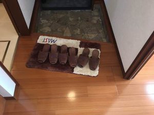 メゾン竹島　Ⅱ棟 B0105号-9