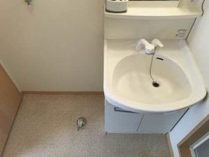 ハミングタウン　Ⅶ G0220号-7