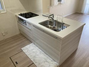 ハイネス国府　Ｂ棟 B0105号-3