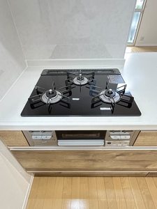 ハイネス国府　Ｂ棟 B0205号-4