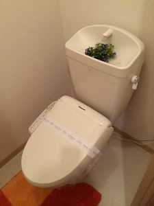 シャーメゾン　ボヌール　Ｃ棟 C0106号-5