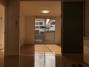 シャーメゾンマルシェ　Ｄ棟 D0110号-15