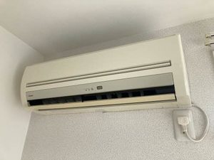 シャーメゾンK B棟 B0203号-11
