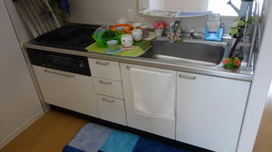 フレグランス沖洲　Ⅱ番館 B0205号-9