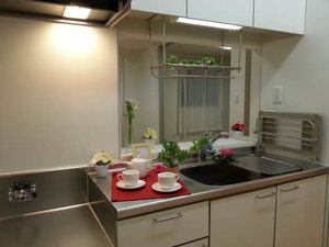 メゾンリヴェール A棟 A0101号-8