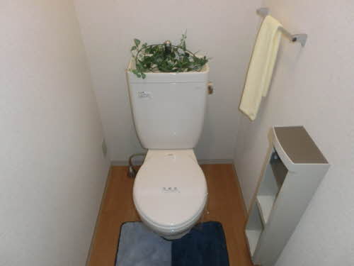 グリシーヌ　Ｂ棟 B0201号-4